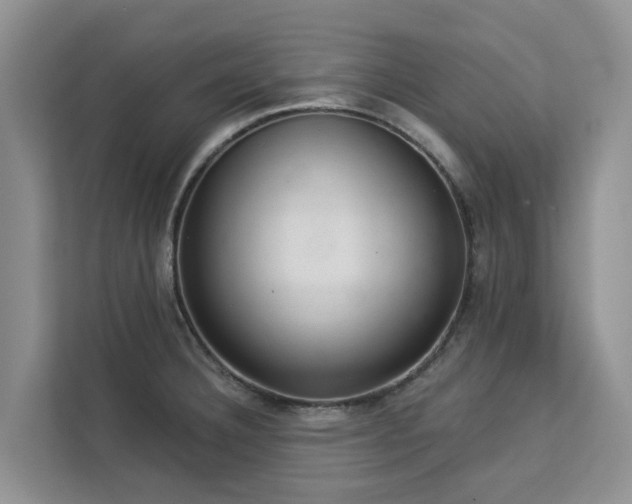 X0000113101332200908281340