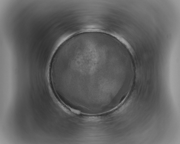 X0000113101333200908281340