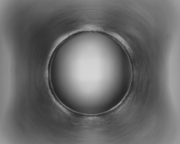 X0000113101335200908281340