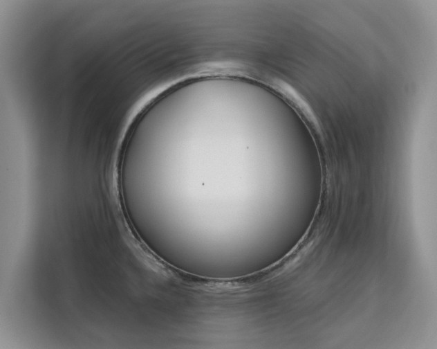 X0000113101336200908281340