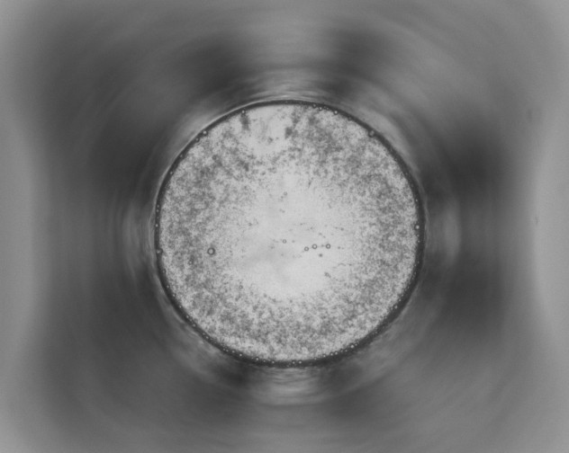 X0000113101338200908281340