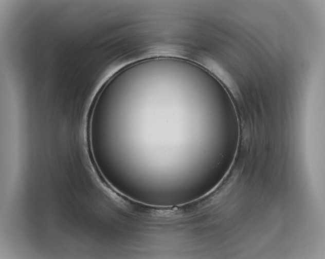 X0000113101339200908281340