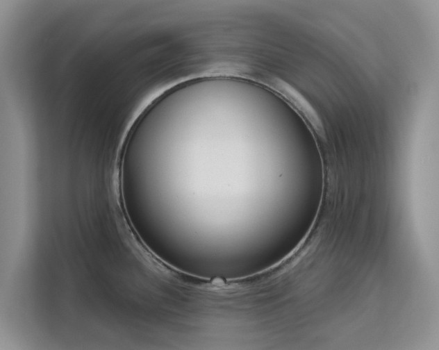 X0000113101340200908281340