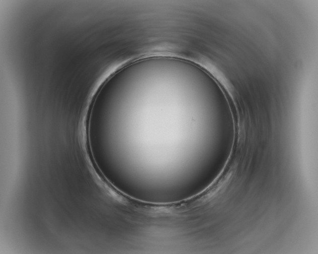 X0000113101341200908281340