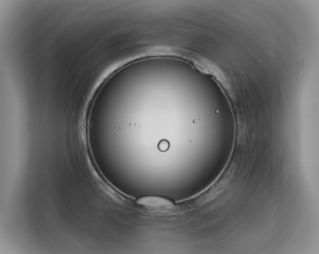 X0000113101342200908281340