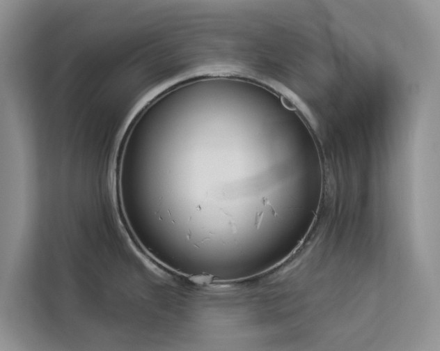 X0000113101343200908281340