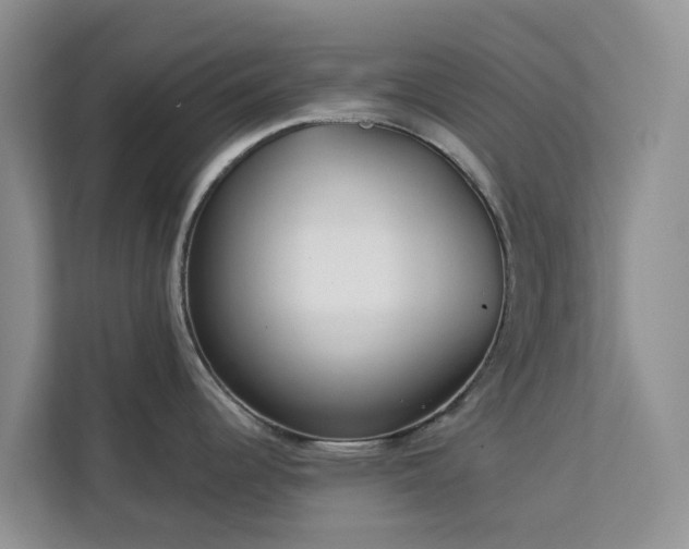 X0000113101344200908281340