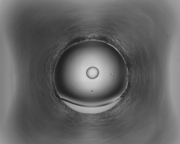 X0000113101345200908281340