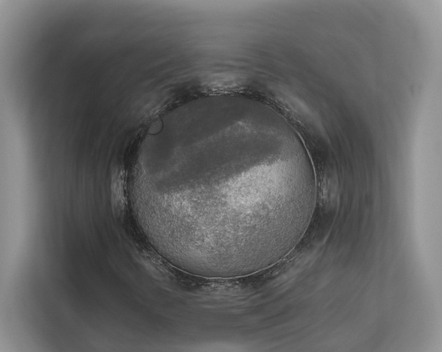 X0000113101346200908281340