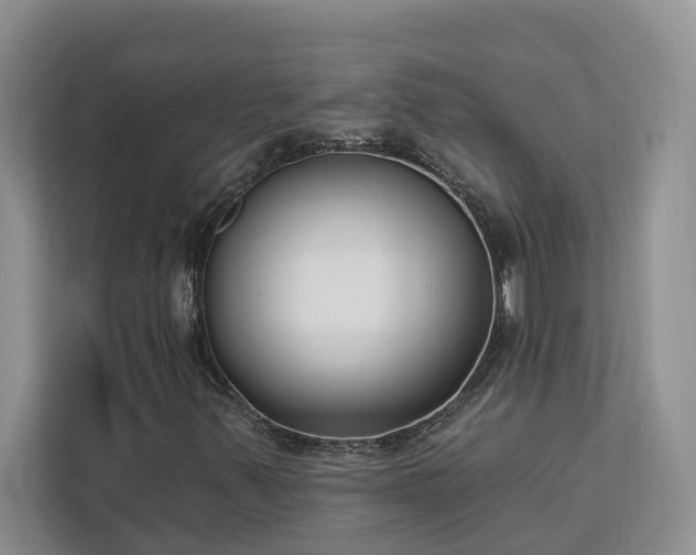X0000113101347200908281340