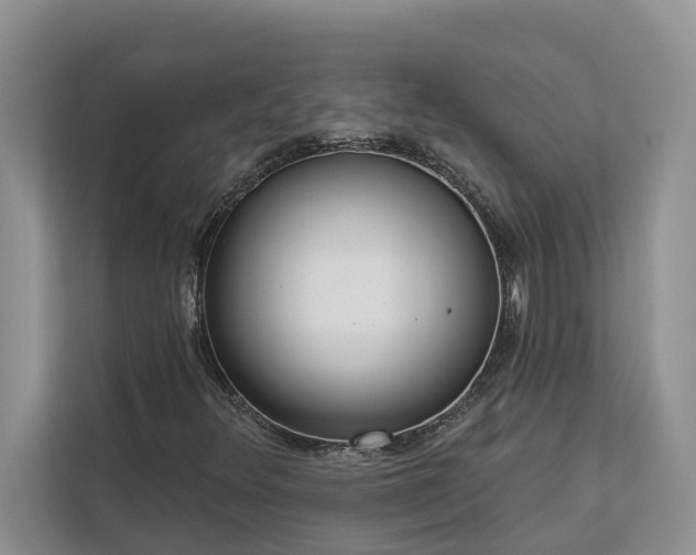 X0000113101348200908281339