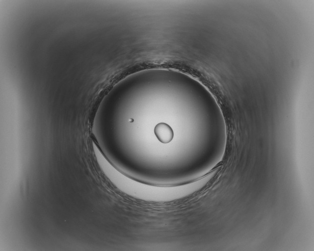 X0000113101349200908281339