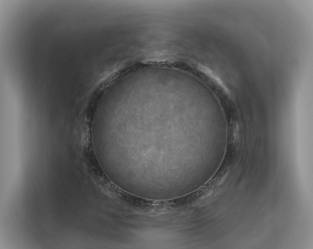 X0000113101350200908281339