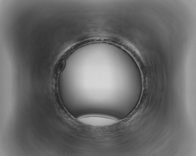 X0000113101352200908281339
