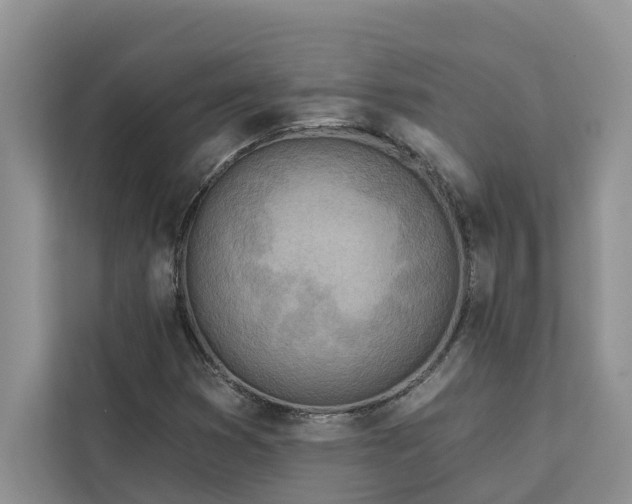 X0000113101353200908281339