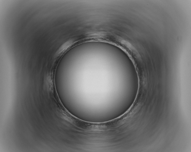 X0000113101354200908281339