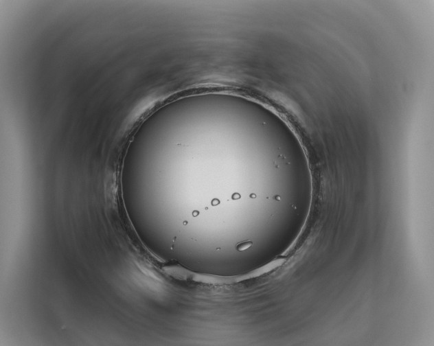 X0000113101355200908281339