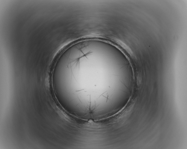 X0000113101356200908281339