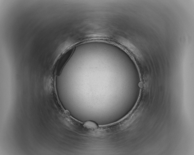 X0000113101357200908281339