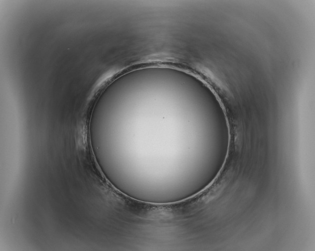 X0000113101358200908281339