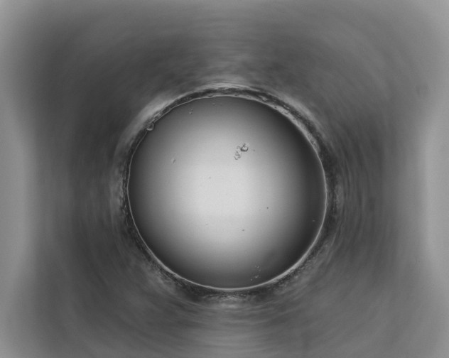 X0000113101359200908281339