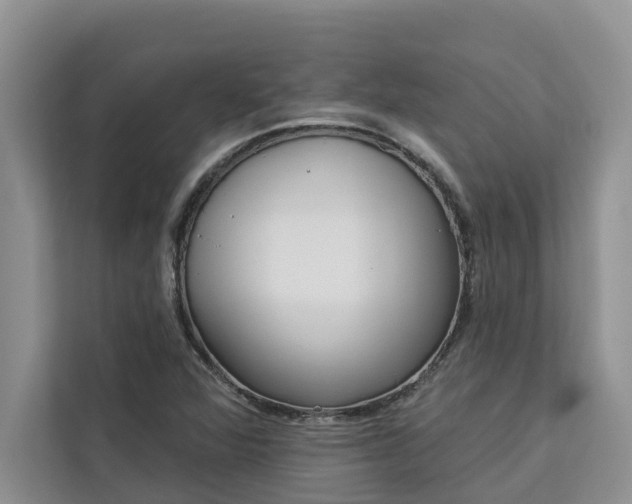 X0000113101360200908281339