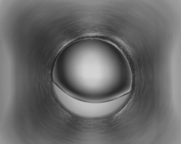X0000113101361200908281339