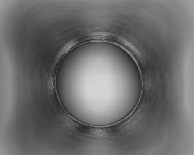 X0000113101362200908281339