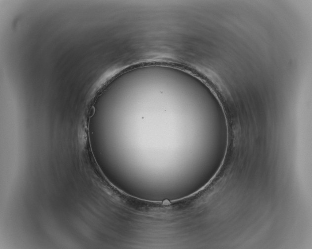 X0000113101363200908281339