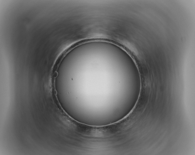 X0000113101364200908281339