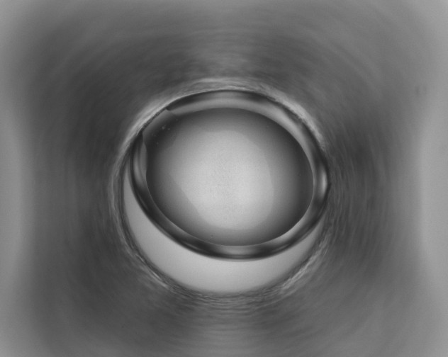 X0000113101365200908281339