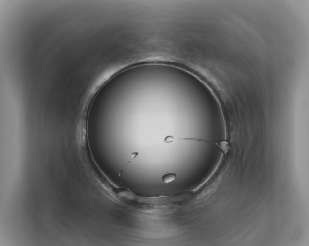 X0000113101367200908281339