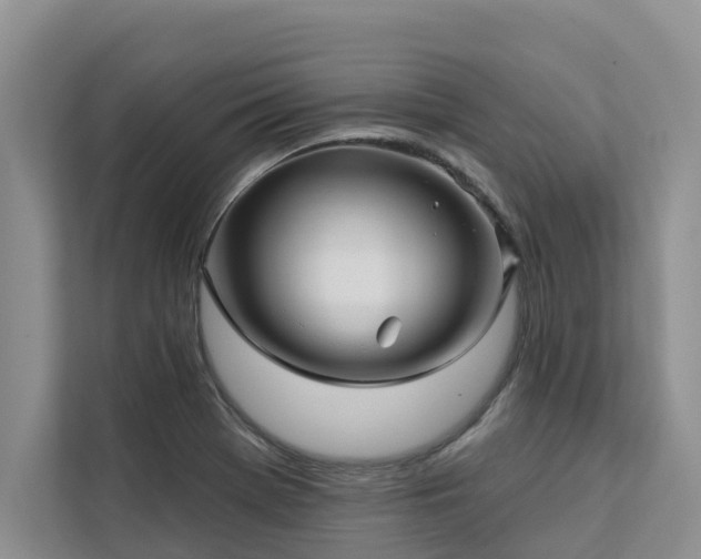 X0000113101369200908281339