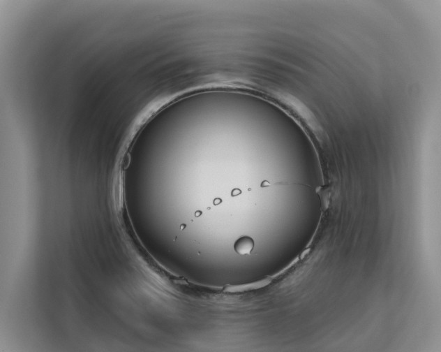 X0000113101371200908281339