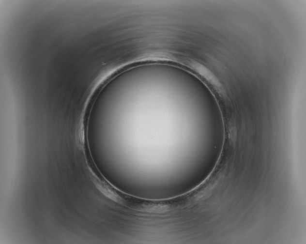 X0000113101372200908281339