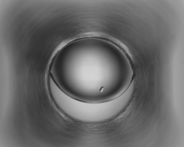 X0000113101373200908281339