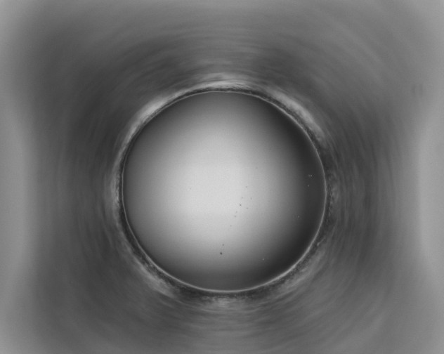 X0000113101375200908281339