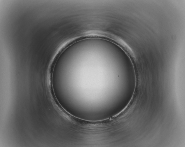 X0000113101376200908281339