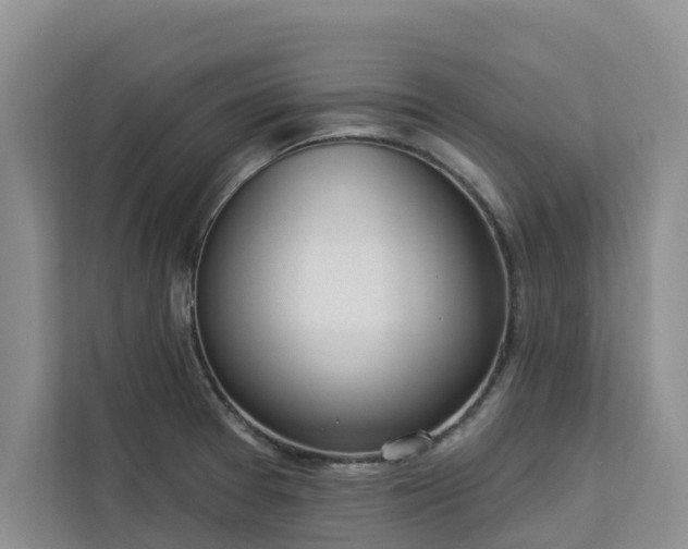 X0000113101377200908281339