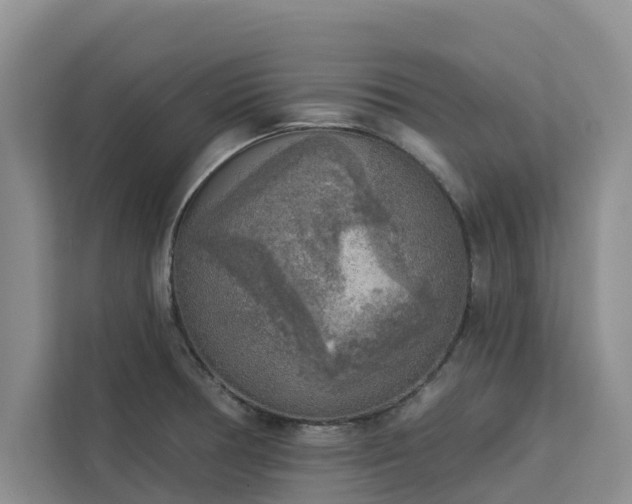 X0000113101378200908281339