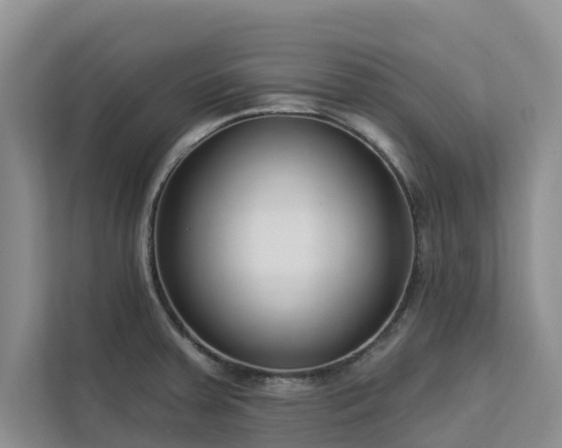 X0000113101379200908281339