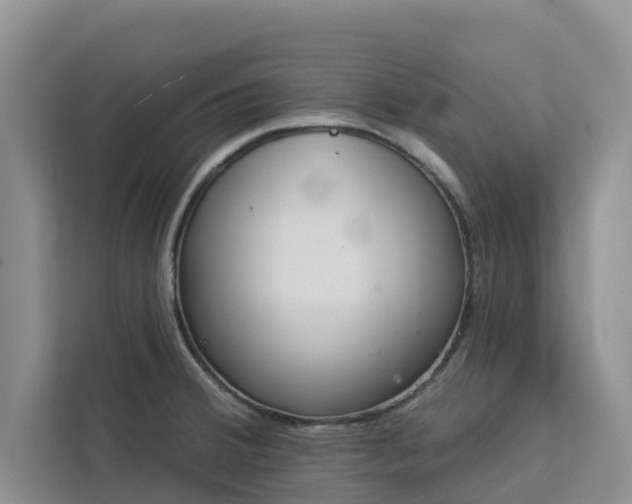 X0000113101380200908281339