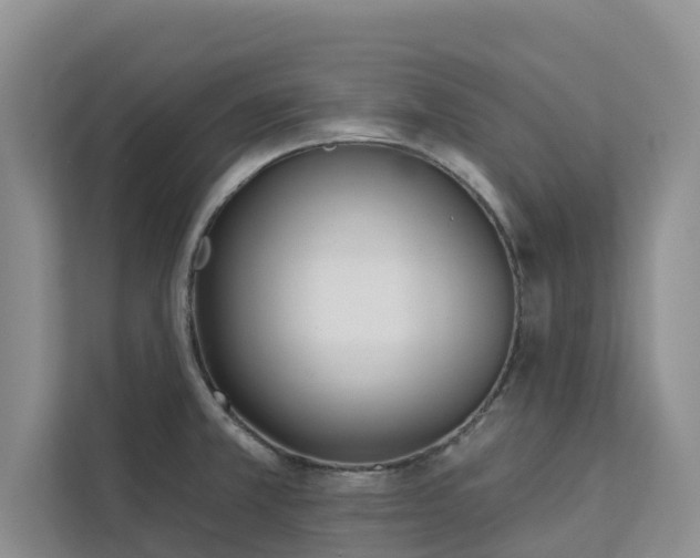 X0000113101381200908281339