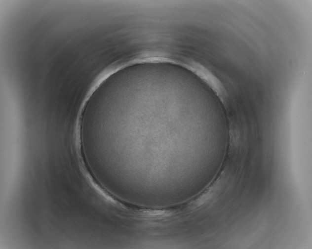 X0000113101382200908281339