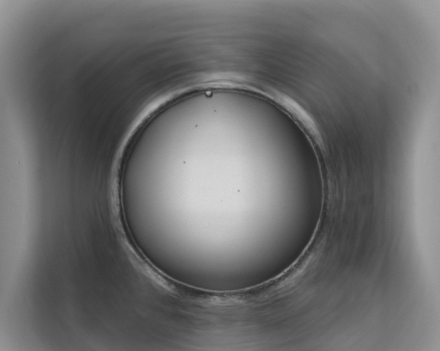 X0000113101384200908281339