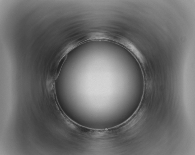 X0000113101385200908281339