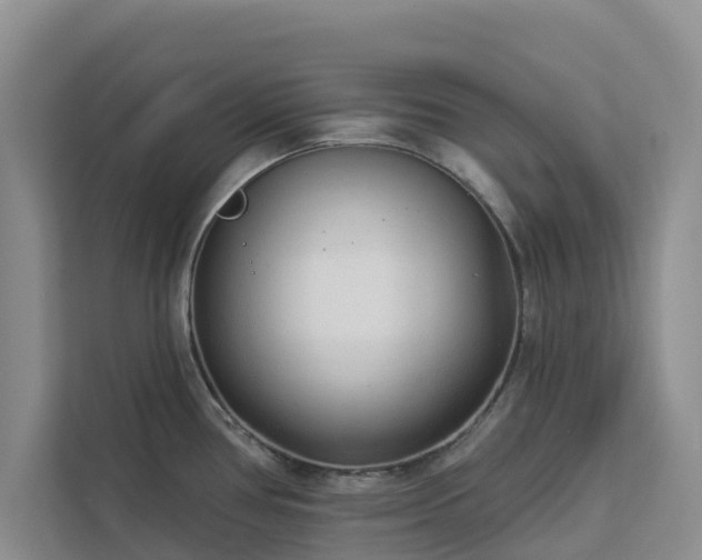 X0000113101386200908281339