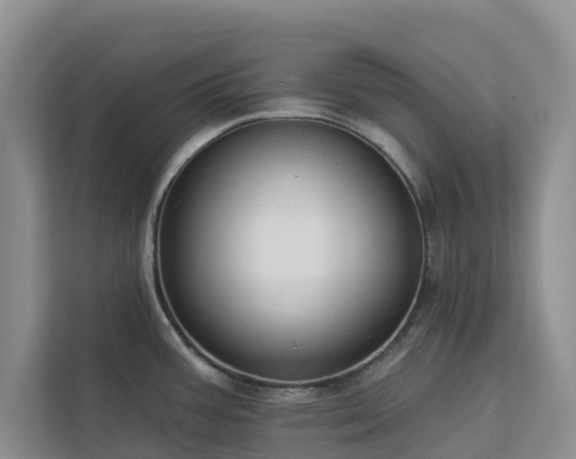 X0000113101387200908281339
