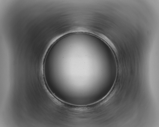 X0000113101388200908281339