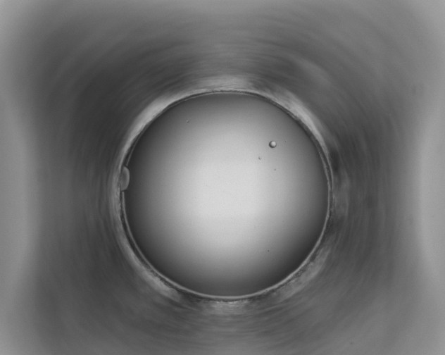 X0000113101389200908281339